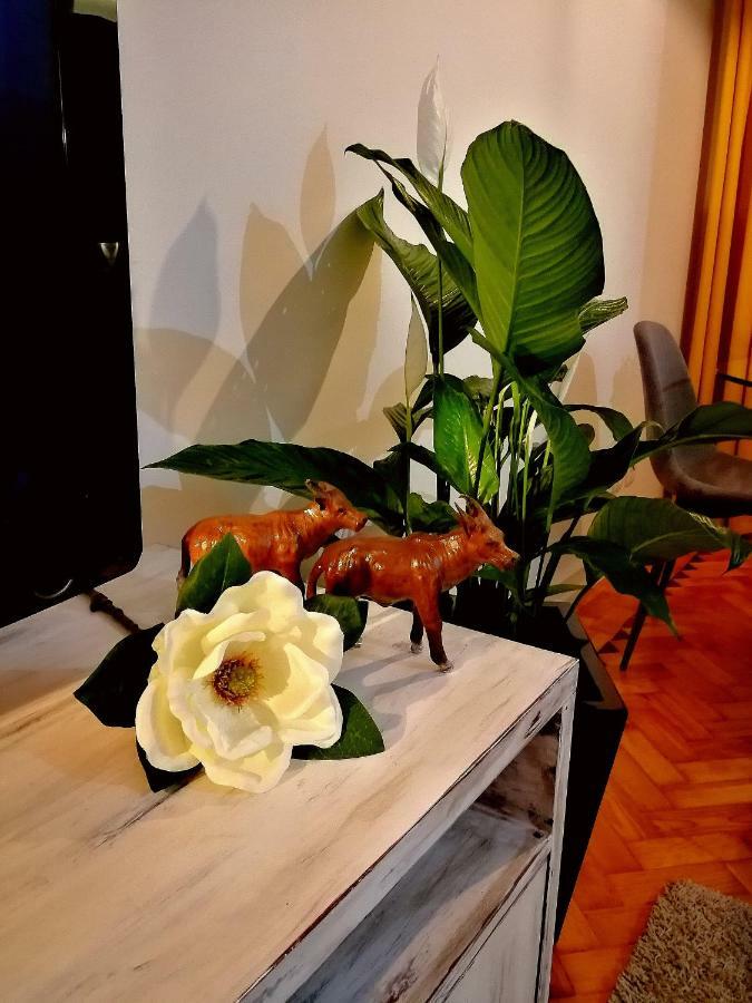 Apartament The Sunset Lisbon Flat Zewnętrze zdjęcie